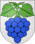 Wappen Gemeinde Wynau Kanton Bern