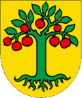 Wappen Gemeinde Domleschg Kanton Graubünden