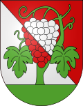 Wappen Gemeinde Bourg-en-Lavaux Kanton Waadt
